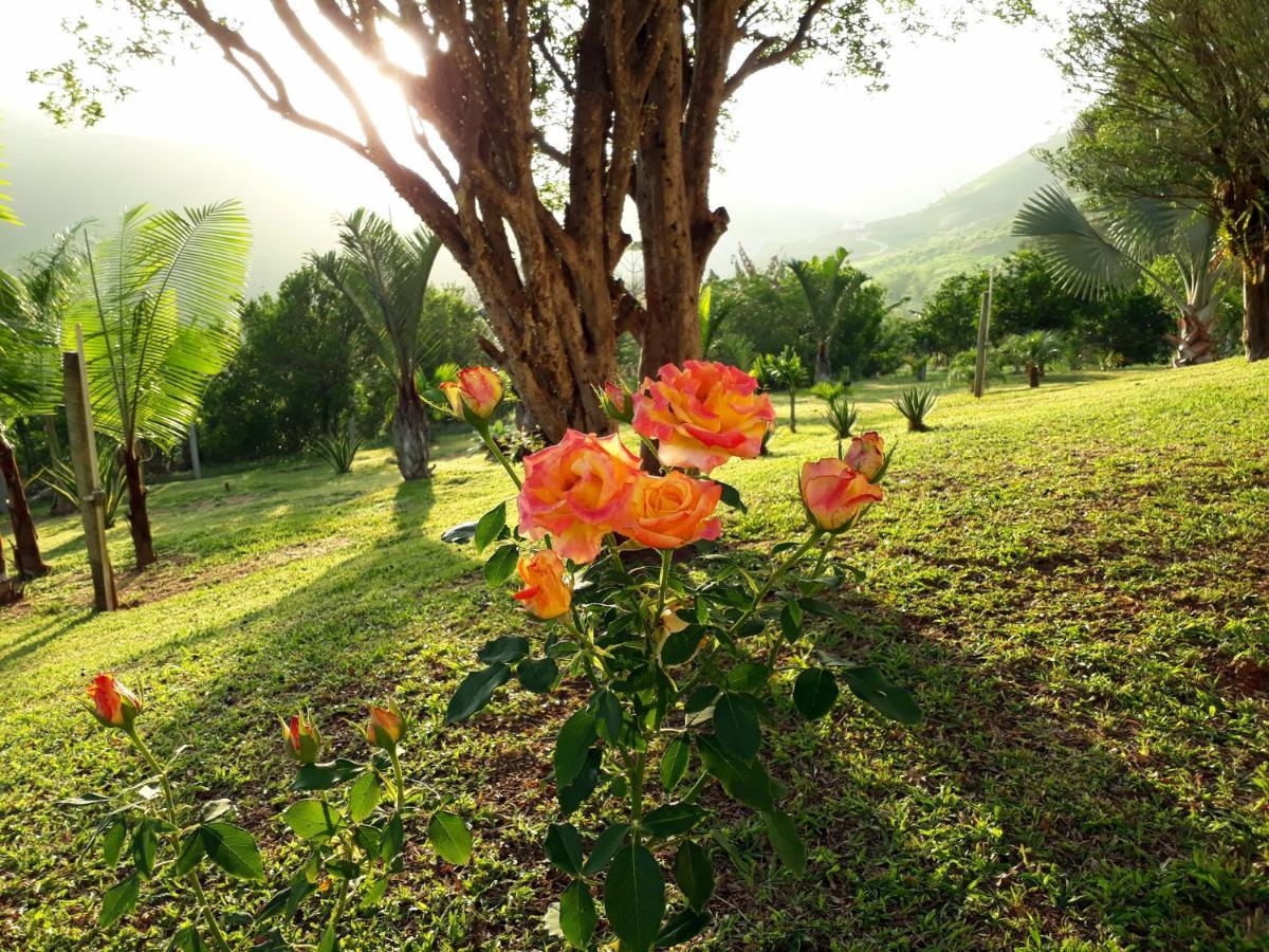Casa/Sitio Na Serra Em Bom Jardim - Rj Zewnętrze zdjęcie