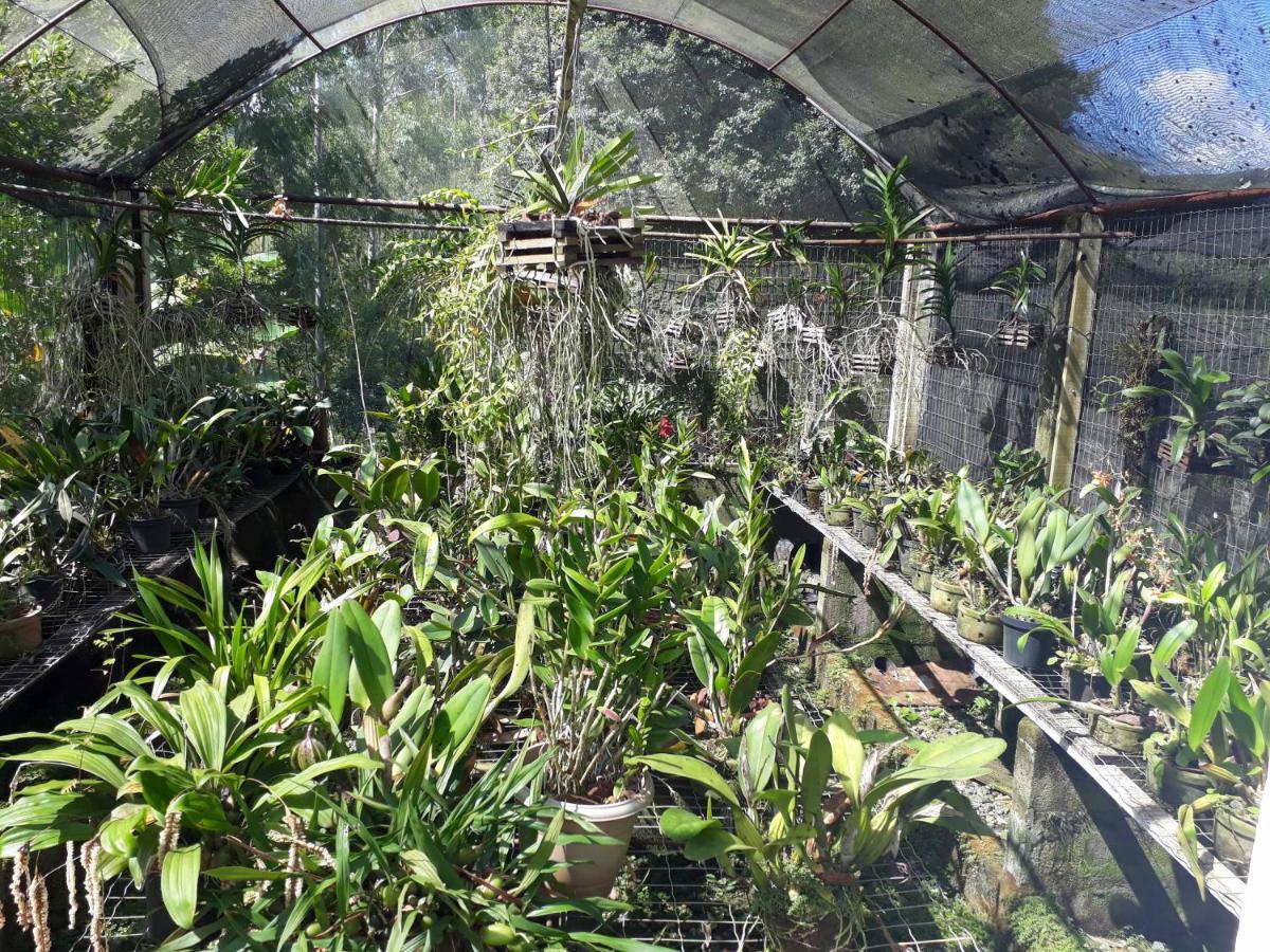Casa/Sitio Na Serra Em Bom Jardim - Rj Zewnętrze zdjęcie