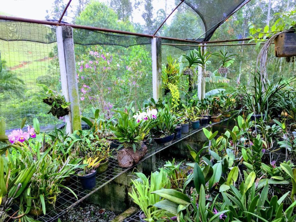 Casa/Sitio Na Serra Em Bom Jardim - Rj Zewnętrze zdjęcie