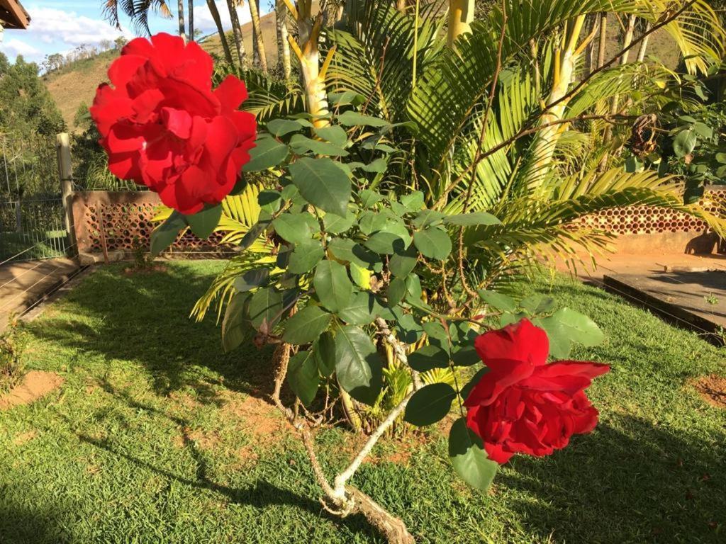 Casa/Sitio Na Serra Em Bom Jardim - Rj Zewnętrze zdjęcie